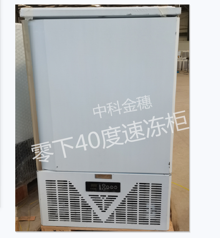 零下40度低温速冻柜冷冻冰柜海鲜饺子肉丸冰淇淋冰棒