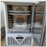零下40速冻柜 食品面团商用冷冻柜饺子冷冻柜价格