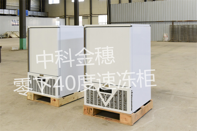 冷冻冰柜海鲜饺子肉丸冰淇淋 零下40度低温速冻柜