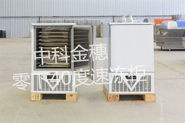 零下40度速冻柜厂家 超市商用速冻柜超低温饺子速冻柜价格
