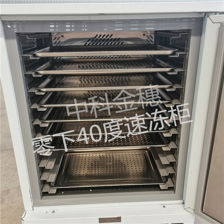 包子饺子速冻冰箱 零下40速冻柜低温商用急冻柜