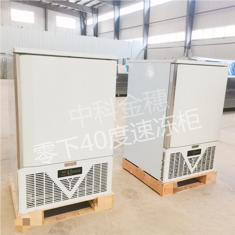 -40度 面团水饺 小型低温急速冷冻柜 