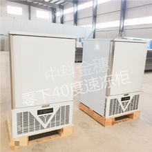 -40度 面团水饺 小型低温急速冷冻柜 