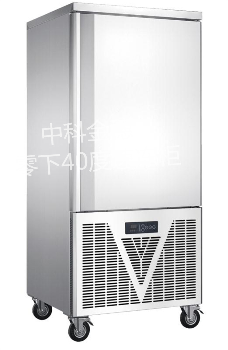 速冻柜商用雪糕机零下40度海鲜水饺急速冻箱低温208L速冻柜