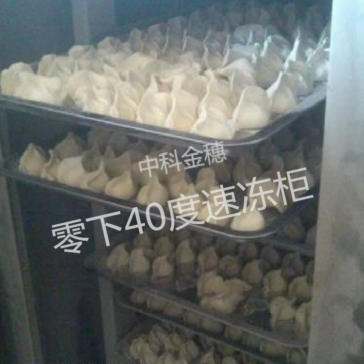 零下40速冻柜低温商用急冻柜 包子速冻冰箱
