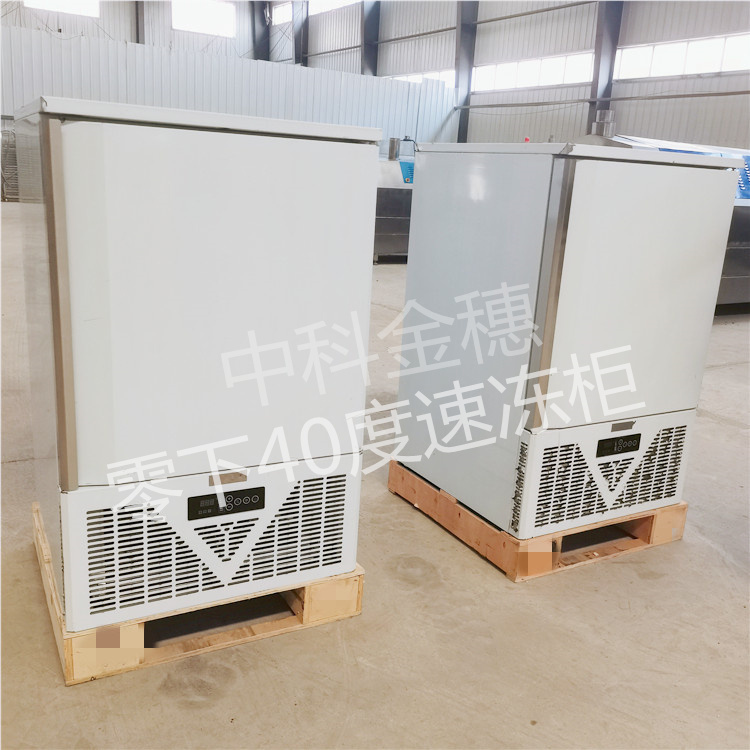 -40速冻柜定制 水饺包子速冻柜厂家 零下40度急速冷冻柜