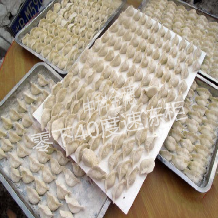零下40速冻柜定制 超市商用速冻柜超低温饺子速冻柜价格