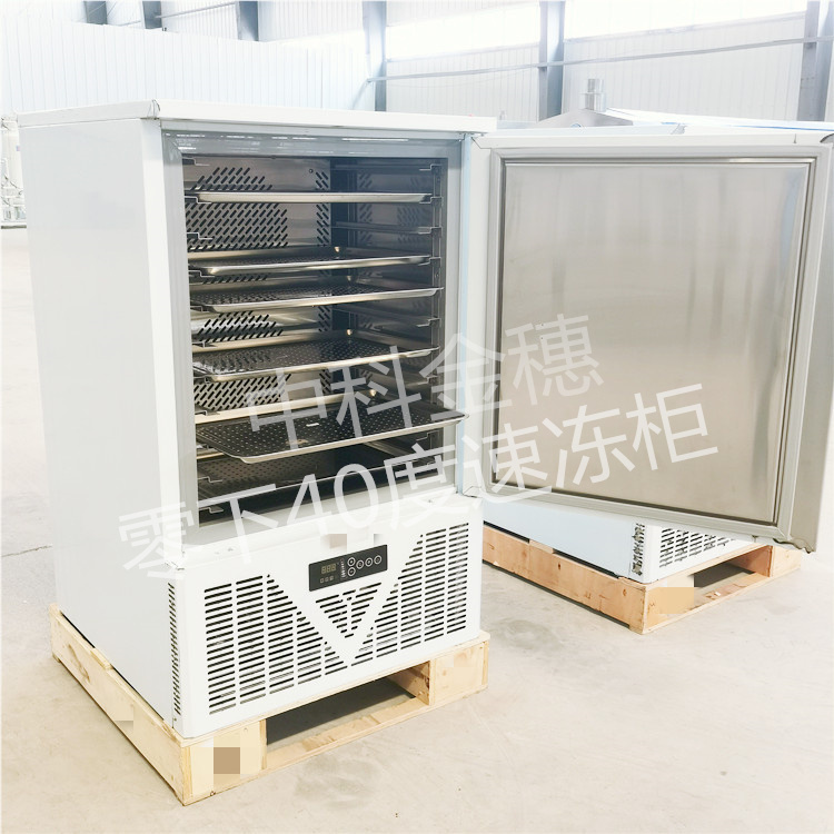 厂家速冻柜商用零下40度低温冷冻冰柜海鲜饺子肉丸冰淇淋冰棒急冻