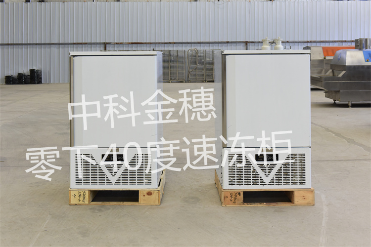 包子水饺急冻柜零下40度速冻机冷柜海鲜饺子冰箱低温油条