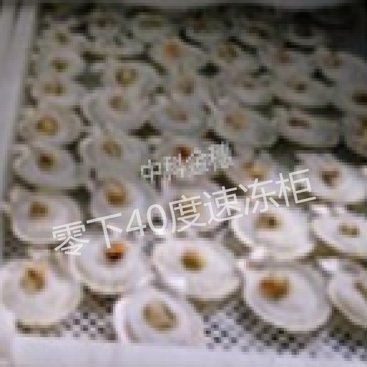 扇贝速冻柜包子饺子龙虾海参急冻柜海鲜速冻机零下40度冷冻冰箱
