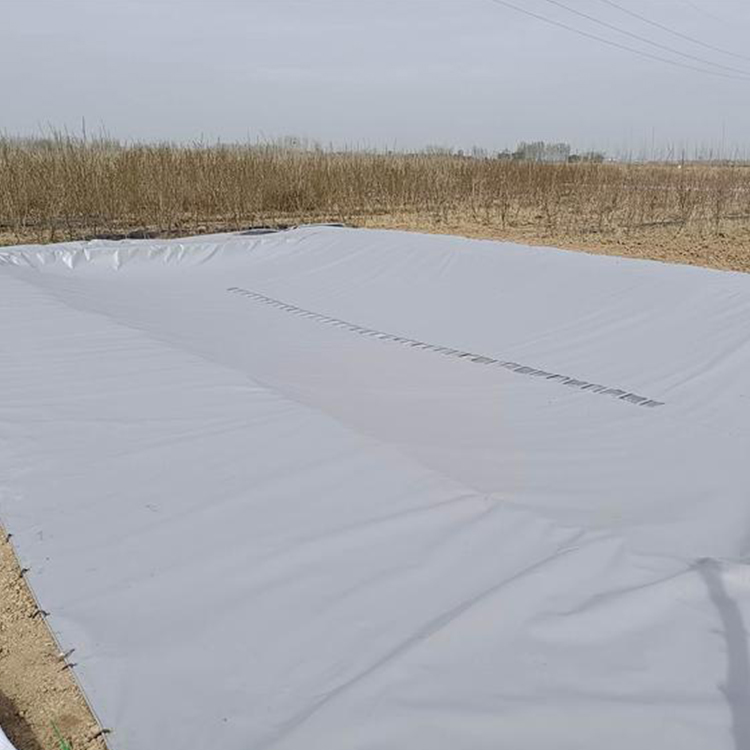 PVC软体集雨水池 晟迪 山区集雨水袋 耐根穿刺 厂家发货