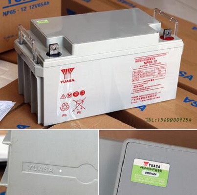 YUASA汤浅蓄电池NP65-12 12V65AH 直流屏EPS UPS电源 太阳能
