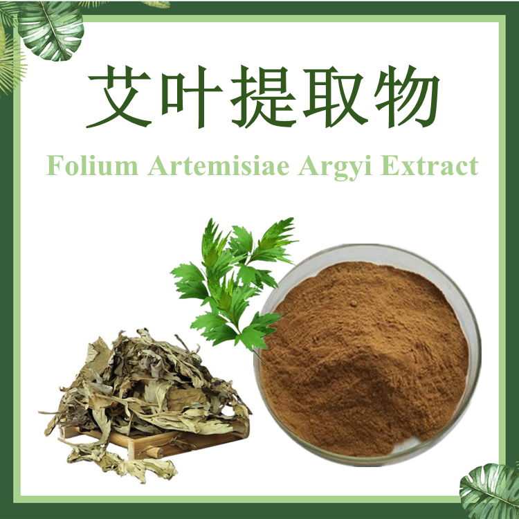 现货供应：艾叶提取物 10:1 艾草提取物