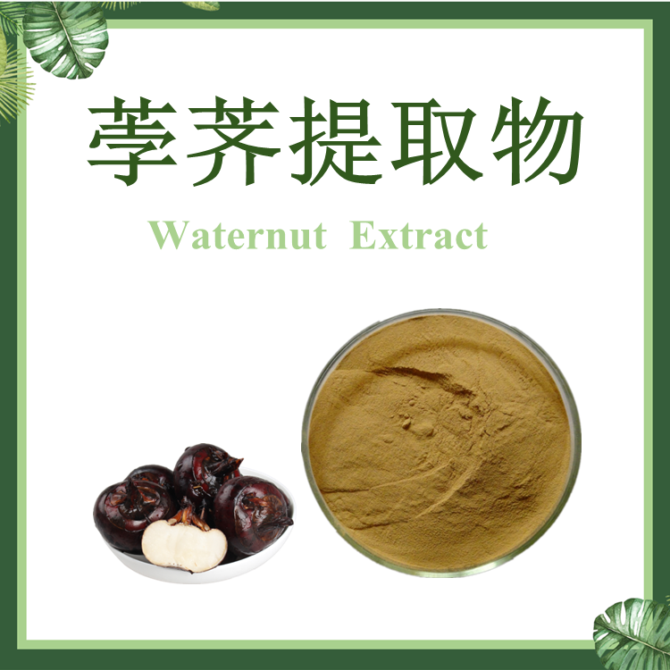 荸荠提取物 10:1 马蹄提取物 水栗提取物 乌芋提取物