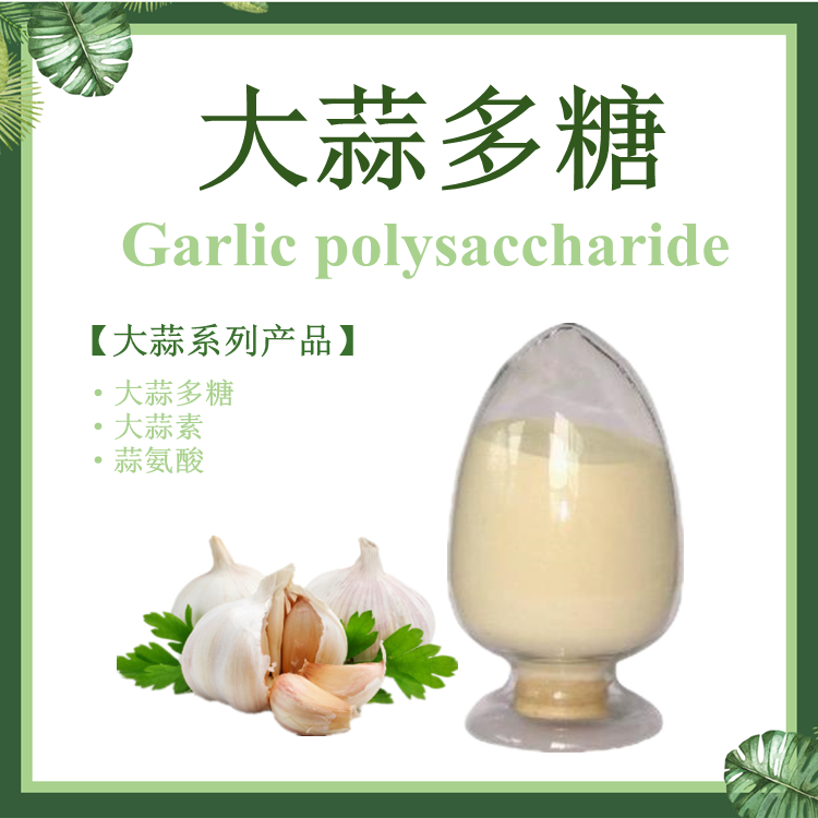 慈缘生物 大蒜提取物大蒜多糖30%50%80%