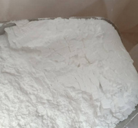 二氧化锆粉末 99.9%锆氧化物 氧化皓