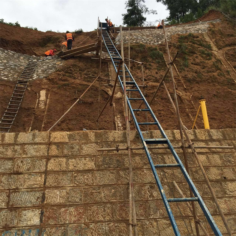 护坡上料机 公路修建两边护坡爬山虎上料机 高速主机
