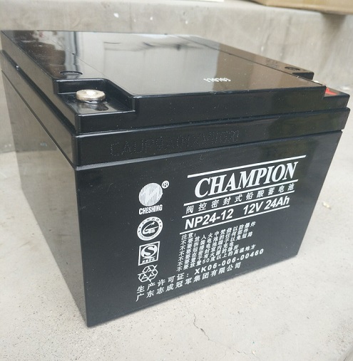 CHAMPION蓄电池NP24-12 12V24AH 免维护密封性UPS直流屏后备电源
