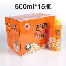 芒果牛奶500ml 芒果牛奶饮品批发 芒果牛奶饮料厂家批发 20年生产经验 0质量客诉