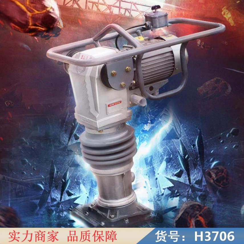 慧采电动打夯机100型 电动打夯机220 小型立式电动打夯机货号H3706