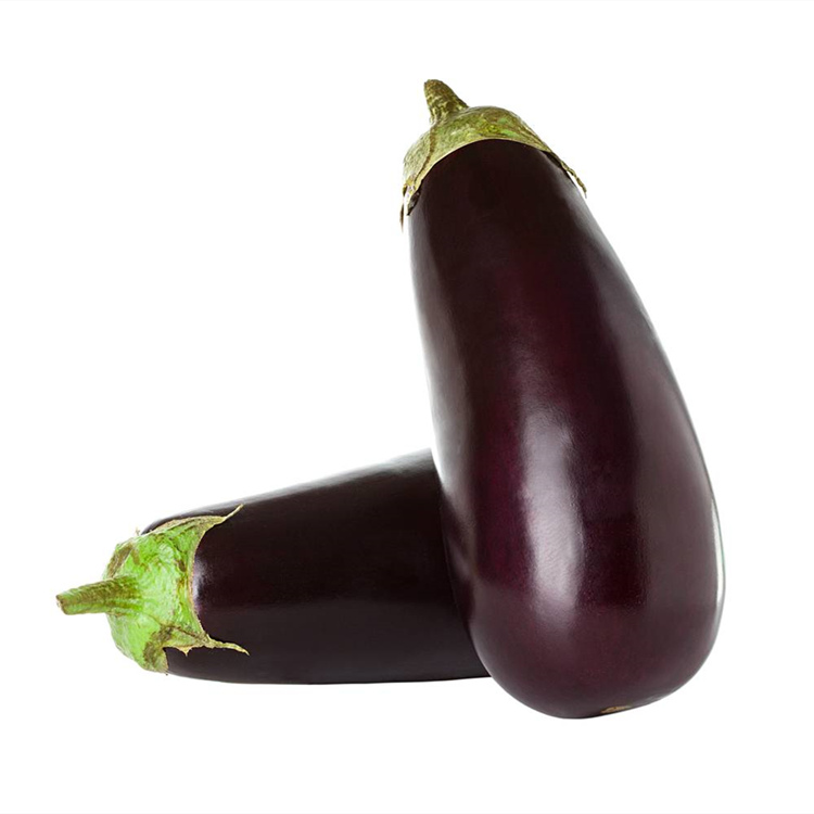 山东蔬菜大棚直供紫把茄子种苗   紫把茄子种苗果型大产量高