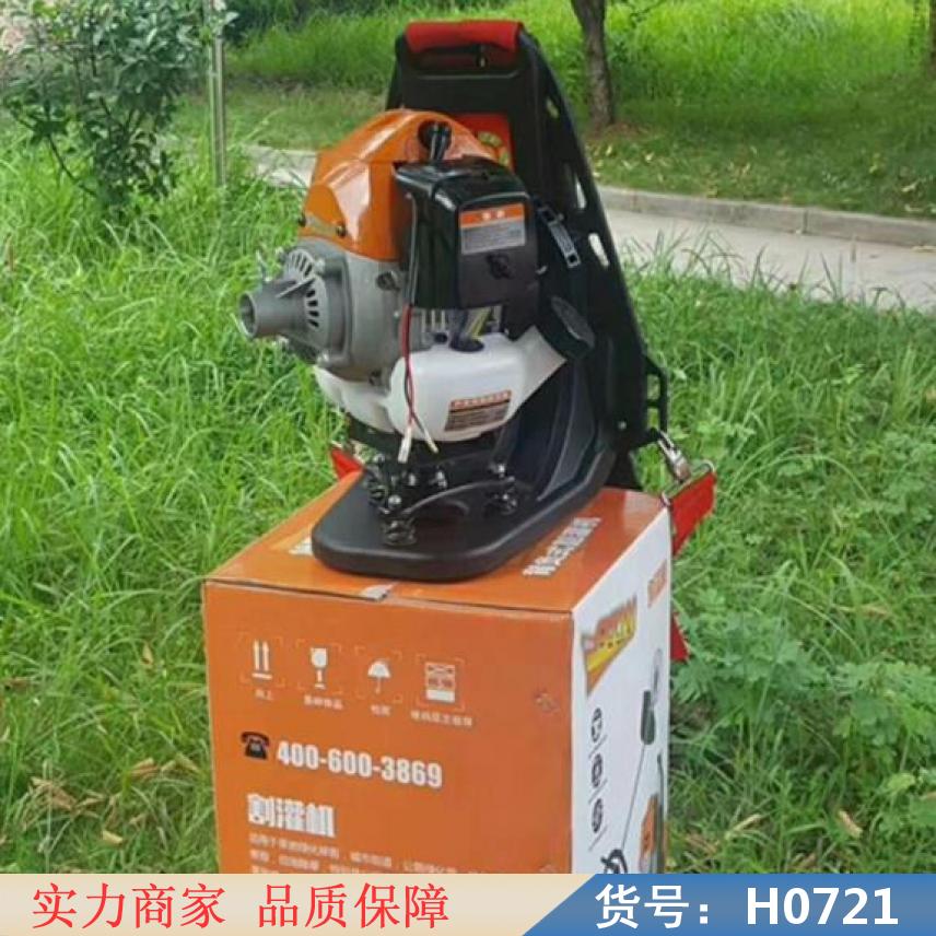 中德草坪割草机 割草机械 自走式割草机货号H0721