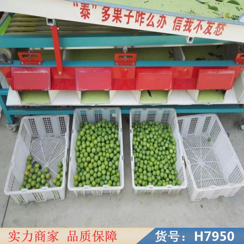 慧采全自动选果机 自动选果机 桃子选果机货号H7950