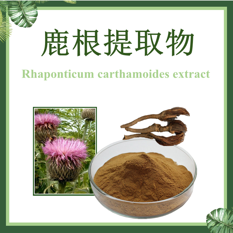 【SC厂家】鹿根提取物 10:1 Rhaponticum Carthamo Extract 现货供应