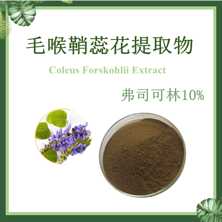 毛喉鞘蕊提取物 弗司可林10% SC厂家 毛喉素 弗斯可林 毛喉鞘蕊花苷