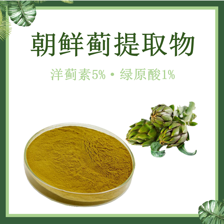洋蓟提取物  洋蓟素5%绿原酸1% SC厂家  朝鲜蓟提取物