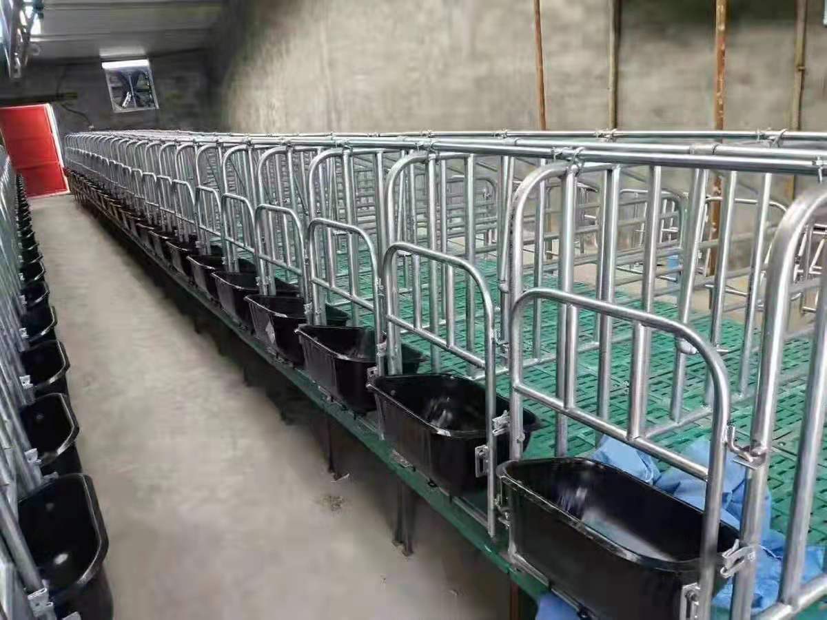 猪用落地式复合加厚定为栏猪用围栏养猪畜牧设备猪用母猪位