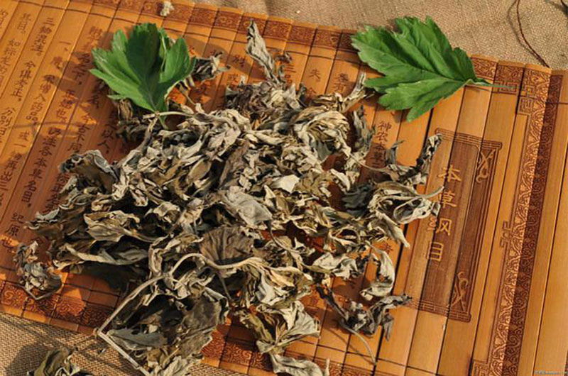 艾叶药都亳州中药材批发 艾叶产地货源 艾叶低价批发 艾叶价格优惠 艾叶药材供应批发价格