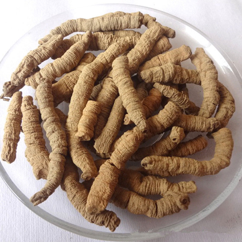 巴戟肉中药材批发 巴戟肉中药材批发加工 巴戟肉药材符和药典 巴戟肉药材供应 巴戟肉药材亳州直发