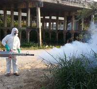病虫害防治公司 病虫害生物防治 病虫害治理 常见病虫害 病虫害专业防治