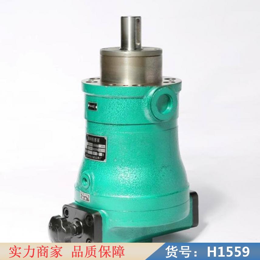 慧采径向柱塞泵 轴向变量柱塞泵 工业柱塞泵货号H1559