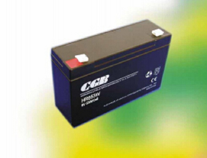 CGB长光蓄电池HR621W 6V21W 高功率免维护普通干电池