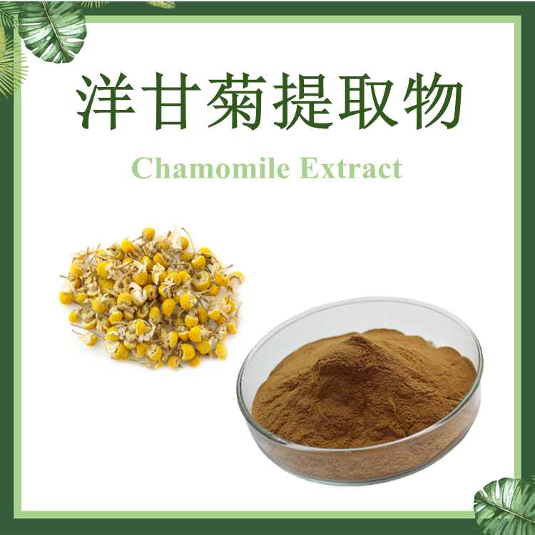 洋甘菊提取物 10:1   SC 厂家 母菊提取物  洋甘菊粉