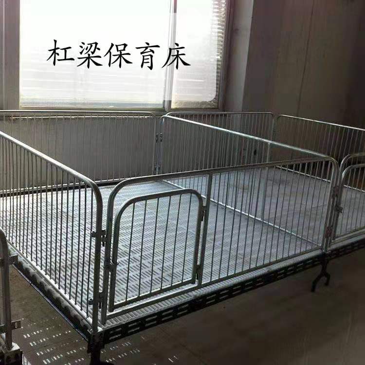 全复合双体仔猪保育床单体热镀锌母猪产床养猪用保育栏福道畜牧