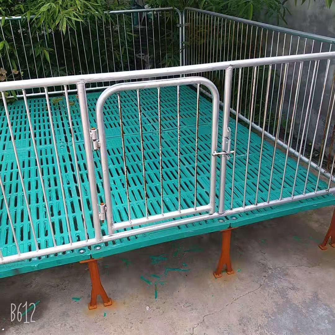 小猪复合保育床育肥围栏养猪用保育设备母猪产床定为栏养猪设备