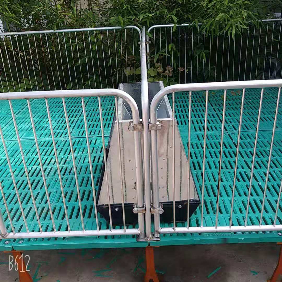 小猪单体保育床仔猪用复合板保育栏母猪产床漏粪板猪用养殖设备