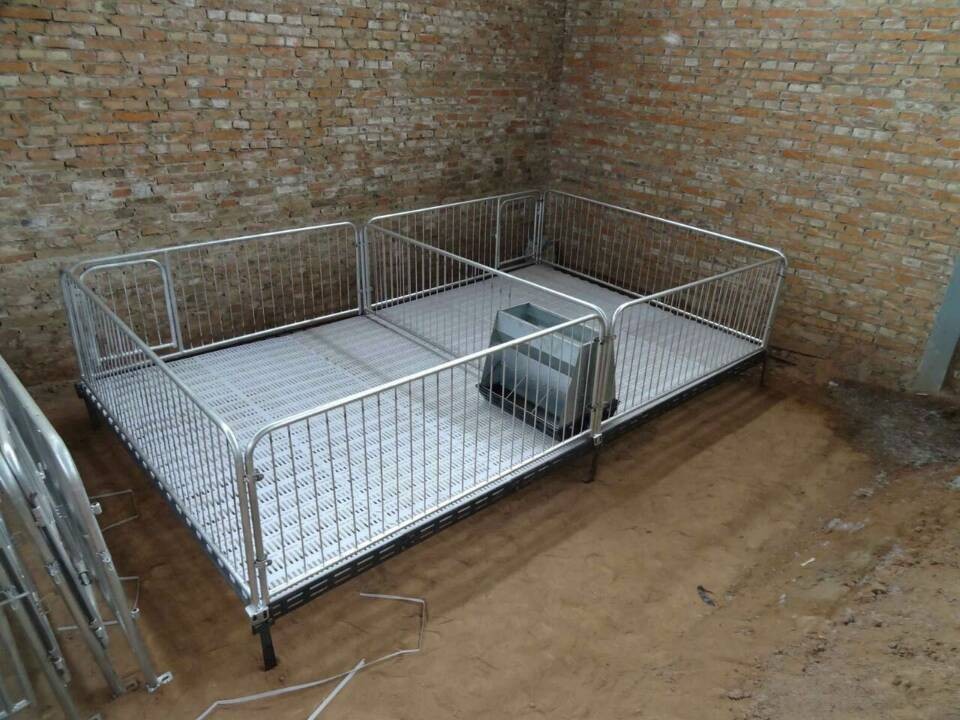 小猪保育床 仔猪保育床母猪产床 养猪用保育栏设备欢迎订购