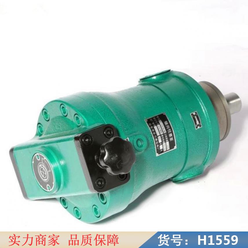 慧采斜盘式轴向柱塞泵 变量泵 变量轴向柱塞泵货号H1559