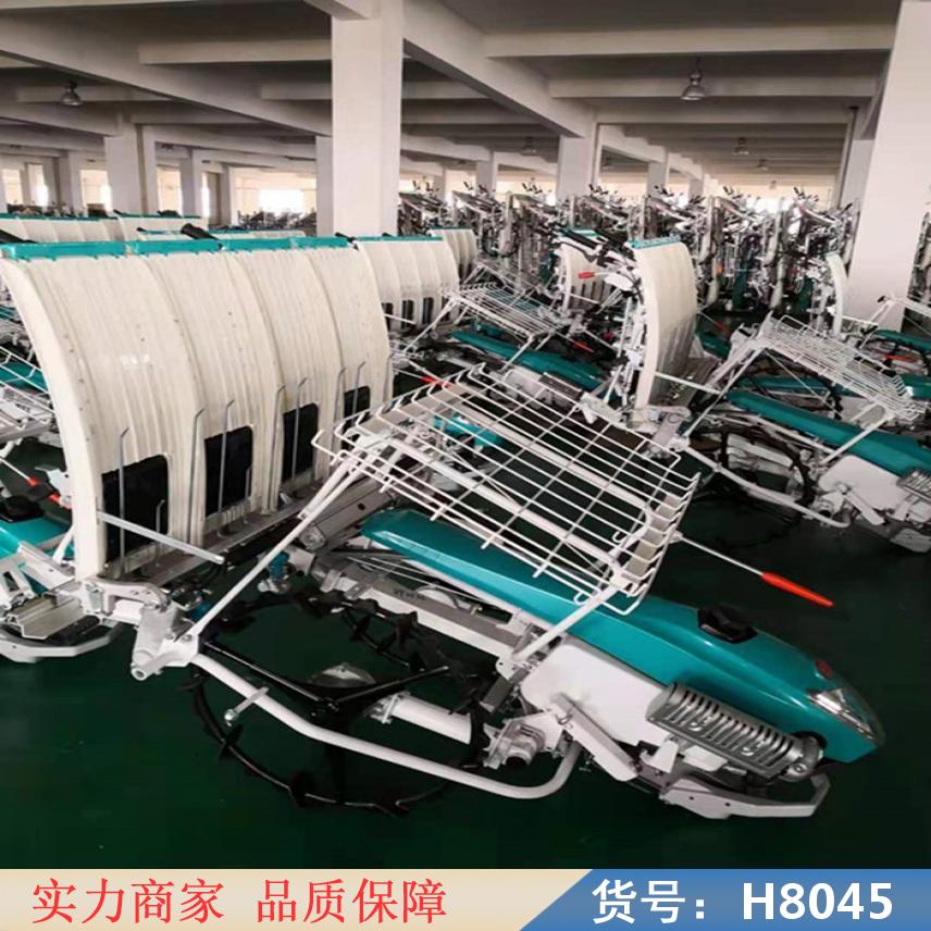 慧采小型水稻插秧机 小型六行水稻插秧机 手动水稻插秧机货号H8045