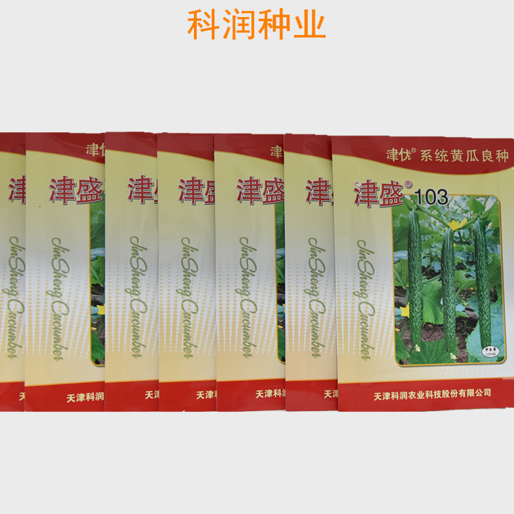 露天种植 津盛116黄瓜种子 寿光黄瓜种子 量大价优