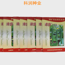露天种植 津盛116黄瓜种子 寿光黄瓜种子 量大价优