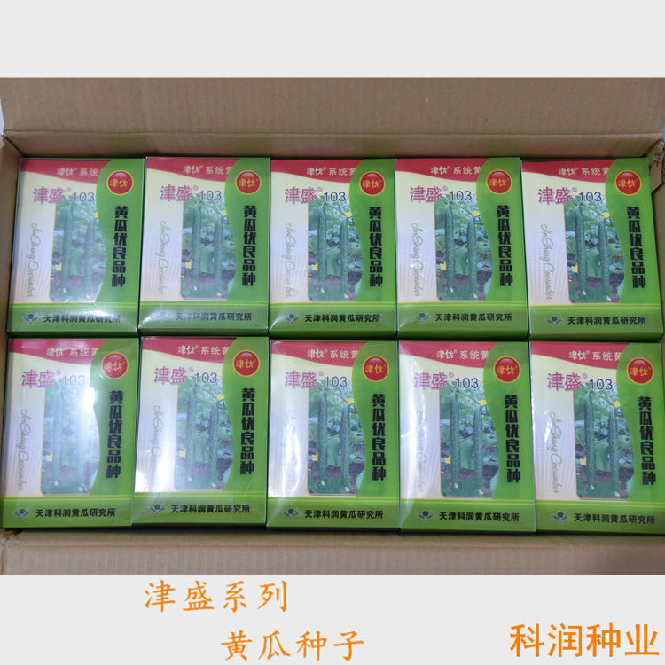 津盛种子 耐储运 农业种植 山东黄瓜种子