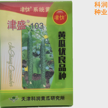 津盛103黄瓜种子 批发好价 蔬菜大棚种植 寿光黄瓜种子