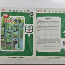 农业种植 绿瓤黄瓜种子 山东黄瓜种子 耐储运