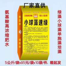 小球藻利生素 种肥水绿 藻氨基酸肥 水绿色鱼虾蟹渔肥厂家批发