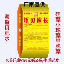 蜇贝速长 快速生长硅藻 种卤虫轮虫浮游动物肥水生物菌